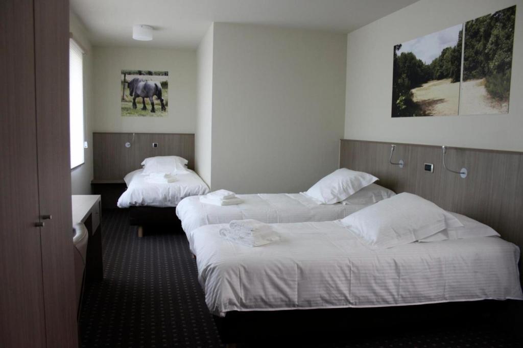 Hotel Otus Wetteren Værelse billede
